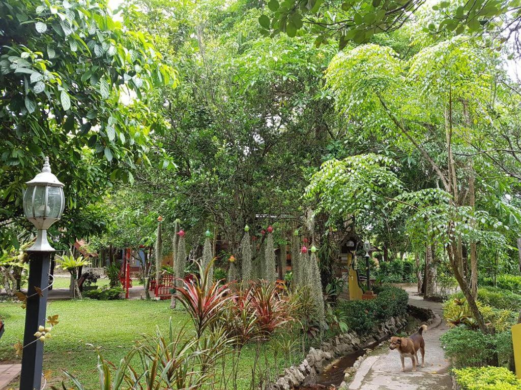 Ban Khlong Bo Phuiyara Resort מראה חיצוני תמונה